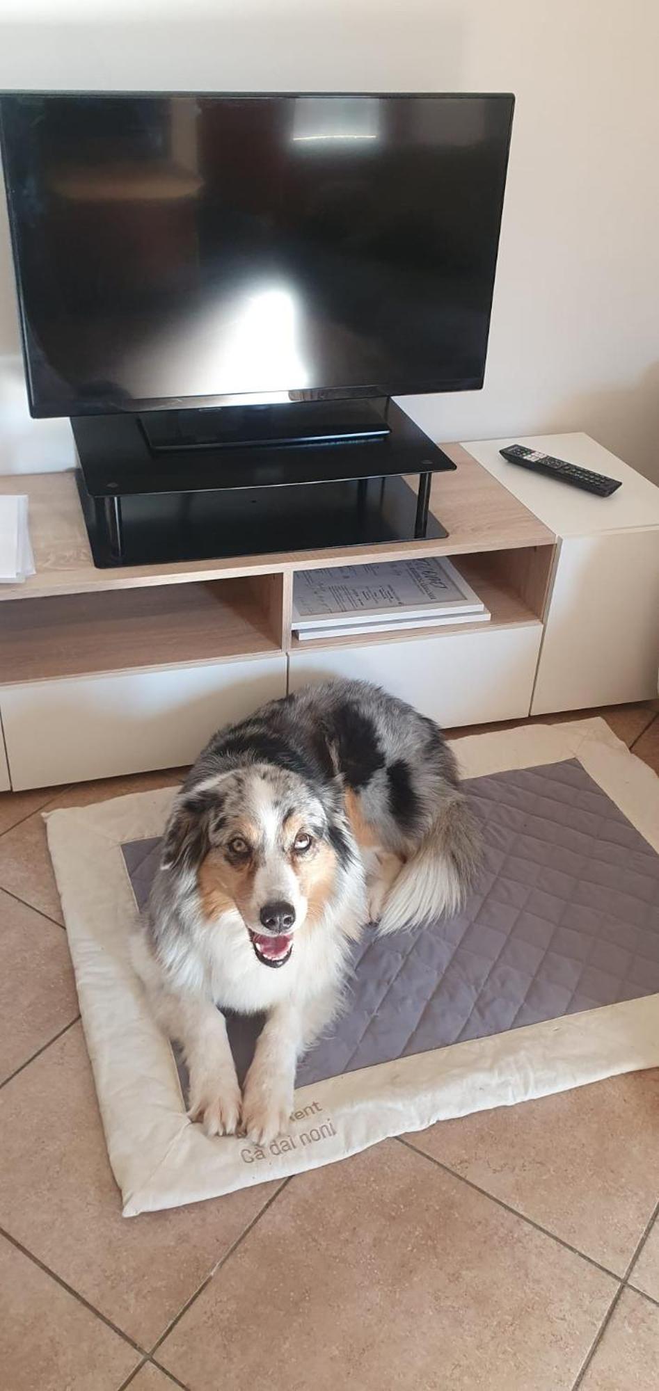 Apartment Ca Dai Noni Feriolo Εξωτερικό φωτογραφία