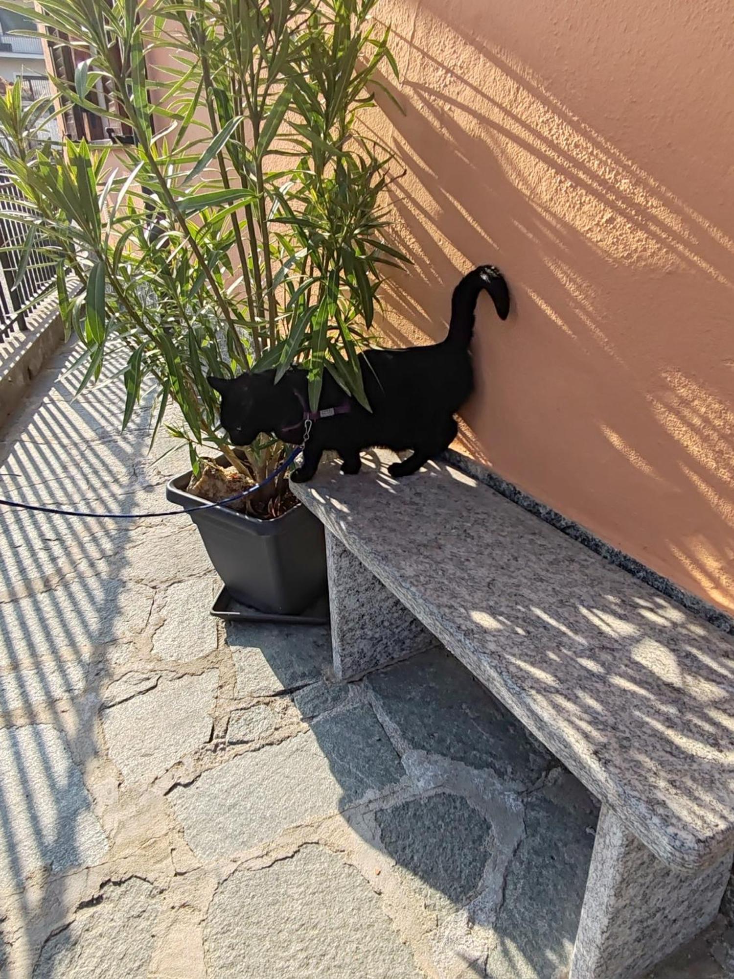 Apartment Ca Dai Noni Feriolo Εξωτερικό φωτογραφία
